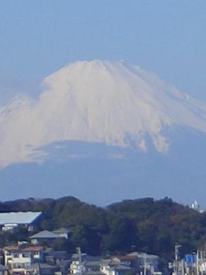 mt_fuji_from_shonan